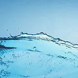 业务电话